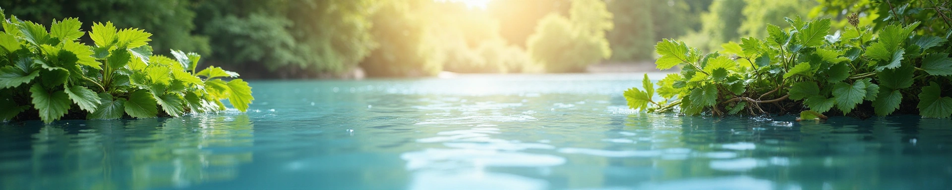 A serene landscape symbolizing natural purity and holistic well-being