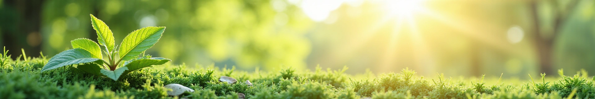 Banner image representing health, wellness, and natural beauty